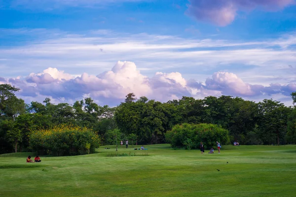 Yeşil güzel park ve mavi gökyüzü — Stok fotoğraf
