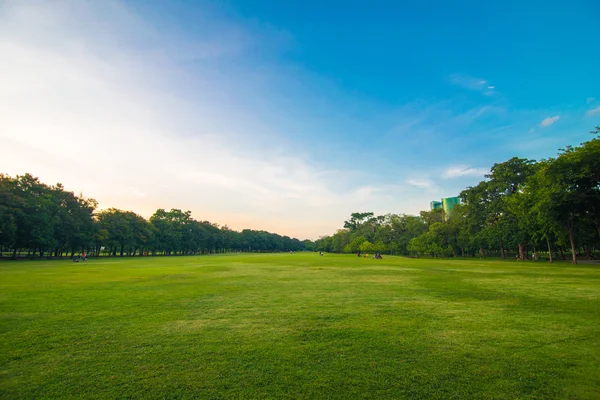 Green beautiful park and blue sky — Stock Photo, Image