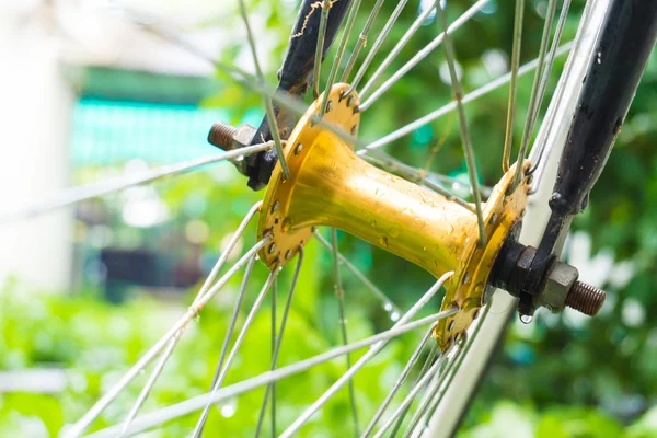 Yeşil çayır üzerinde bisiklet tekerleği. Yaklaş, spor sembolü.