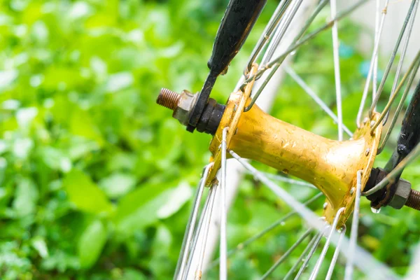 Yeşil çimen arka planında bisiklet tekerleğini tamir et, konuma yaklaş
