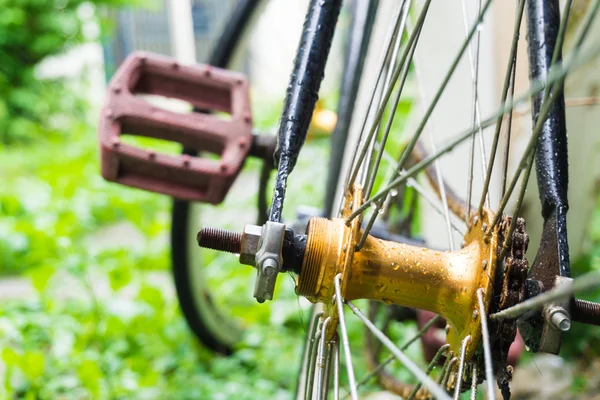 Yeşil çimen arka planında bisiklet tekerleğini tamir et, konuma yaklaş
