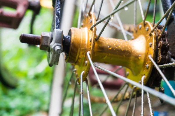 Yeşil çimen arka planında bisiklet tekerleğini tamir et, konuma yaklaş