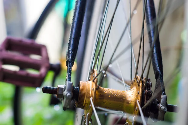 Yeşil çimen arka planında bisiklet tekerleğini tamir et, konuma yaklaş
