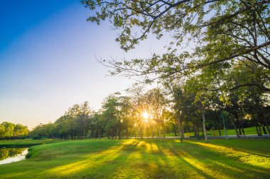 Çim ve ağaçların bir şehirde yeşil park