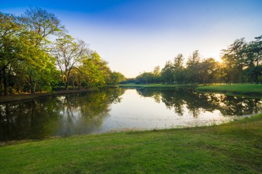 Günbatımı güzel Park su birikintisi doğa ile