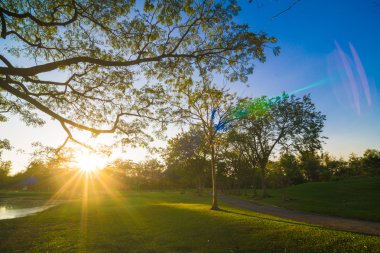 Günbatımı güzel Park su birikintisi doğa ile
