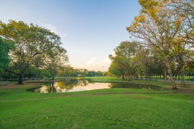 Günbatımı güzel Park su birikintisi doğa ile