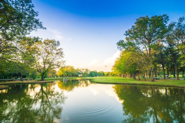 Günbatımı güzel Park su birikintisi doğa ile