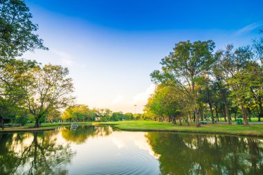 Doğa güzel yaz park ve günbatımı