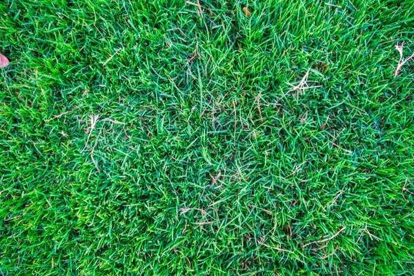 Green grass soccer field background — Stock Photo, Image