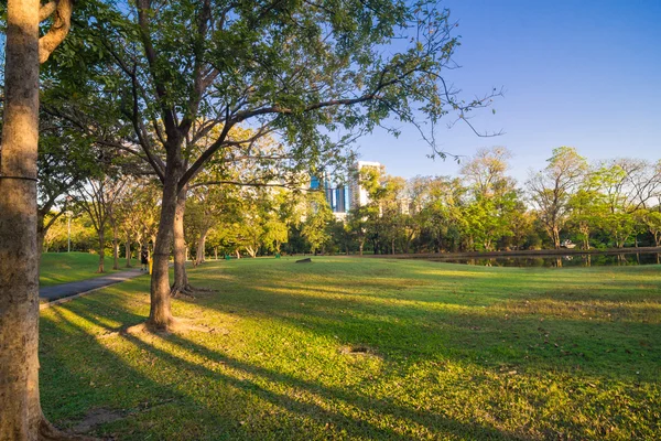 Parco verde con prato e alberi in una città — Foto Stock