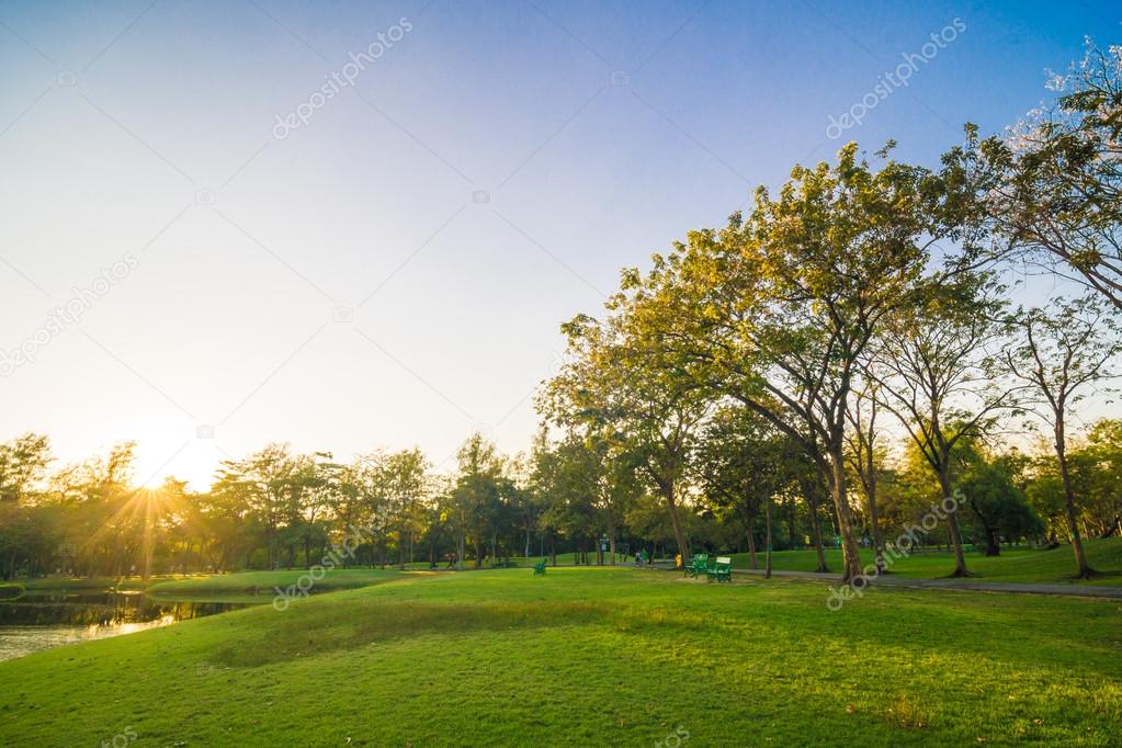 Sunset in the beautiful park with pond nature