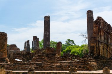 Ayutthaya Historical Park ağaç dalı mavi gökyüzü, Phra Nakhon ile