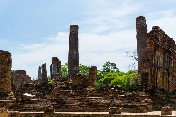 Ayutthaya Historical Park ağaç dalı mavi gökyüzü, Phra Nakhon ile