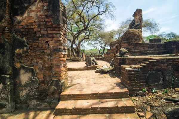 Ayutthaya Historical Park Con Albero Ramo Cielo Blu Phra Nakhon — Foto Stock