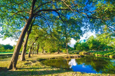 Akşam, Bangkok, Tayland Merkez Parkı özgürlük zamanında yeşil çim ağaç