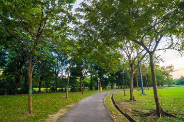Günbatımı zamanı sırasında genel Park yolu