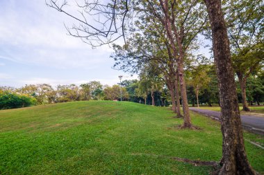 Günbatımı zamanı sırasında genel Park yolu