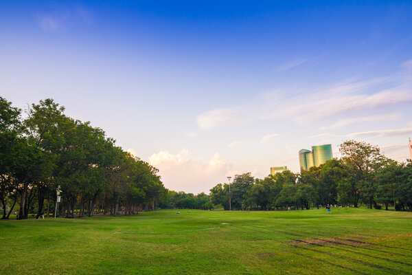 Tree with green lawn in central public park freedom time in evening, Bangkok, Thailand