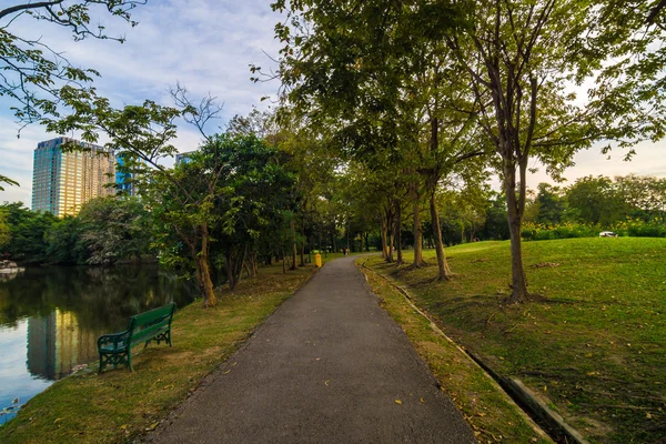 Camino y árbol en el hermoso parque verde de la ciudad — Foto de Stock