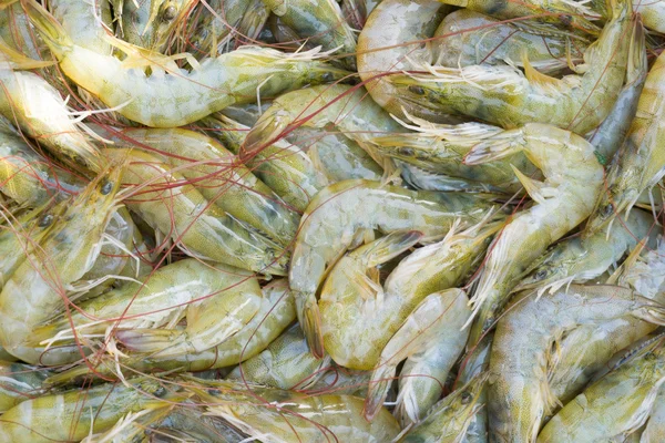 Čerstvé krevety v rybí trh na ráno — Stock fotografie