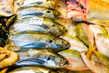 Süre için yemek ızgara için çiğ deniz ürünleri hazırlama seti