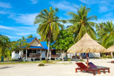 Bu güzel bir tropik tatil zaman gösteri ahşap sandalye olduğunu