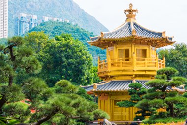 Altın Köşk, mutlak mükemmellik Nan Lian bahçesinde bulunan ağaç mavi gökyüzü, Hong Kong.