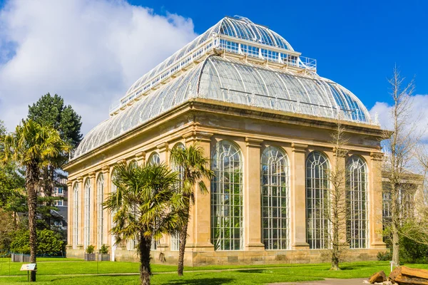 Glasshouse adlı genel Park Edinburgh, İskoçya, İngiltere'de Kraliyet Botanik Bahçeleri