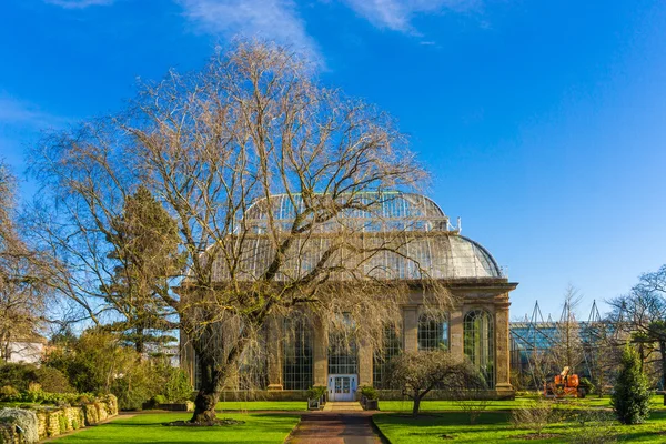 Üvegház Királyi Botanikus Kertek Nyilvános Parkban Edinburgh Skócia Egyesült Királyság — Stock Fotó
