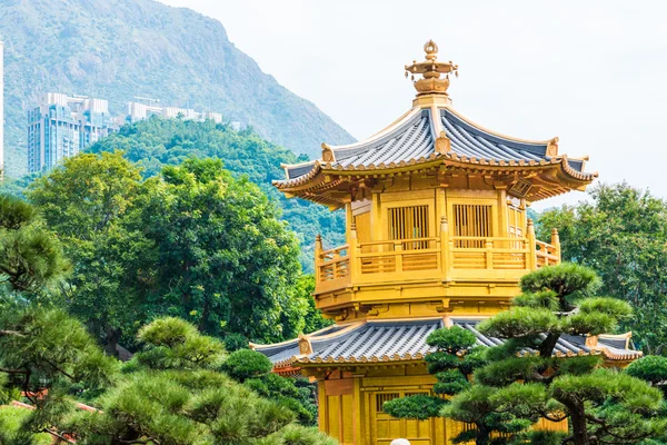 Golden Pavilion Absolute Perfection Nan Lian Garden Green Tree Background — Stock Photo, Image