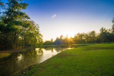 Gün batımı sarı ışık gölge ağaçları ile yeşil çim üzerinde