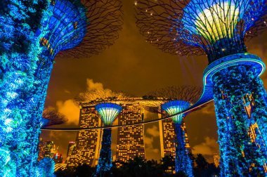 Körfez kenarındaki bahçeler.