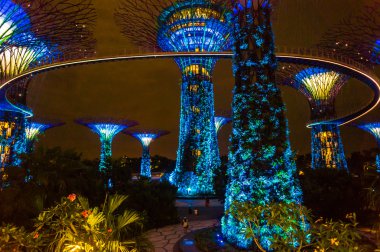 Supertrees Gardens Bay tarafından.