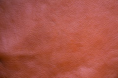 Gerçek kahverengi dokulu inek deri arka plan makro lens