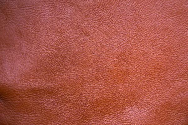 Genuine Brown Textured Cow Leather Background Macro Lens — Stock Photo, Image