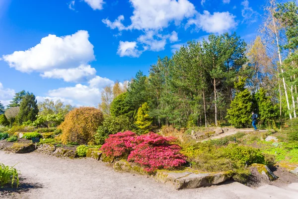 Royal Botanic Garden parco centro della città di Edimburgo — Foto Stock