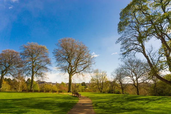 Kraliyet Botanik Bahçesi Parkı merkezi Edinburgh şehir — Stok fotoğraf