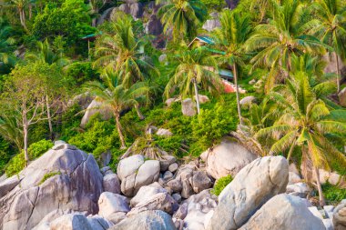 Dağ güneş ile Vacationa zaman kavramı pastoral deniz kayalık plaj