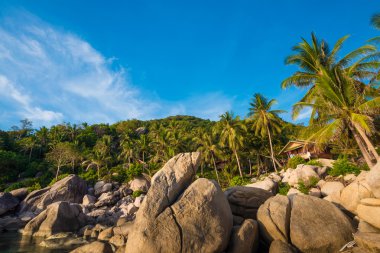 Dağ güneş ile Vacationa zaman kavramı pastoral deniz kayalık plaj