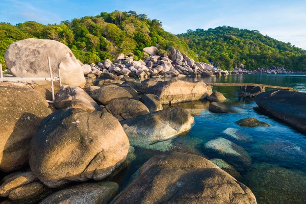 Plage Rocheuse Tropicale Avec Cocotiers Koh Tao Samui Thaïlande — Photo