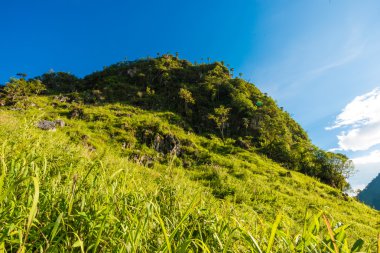 Yeşil sahne alt alp dağ mavi gökyüzü