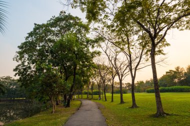 Merkezi kamu parki yeşil çim çayır ağaç Günbatımı ile