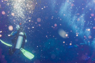 Scuba Diving bilinçlendirilmesini tropikal balık ile bir mercan kayalığı üzerinde