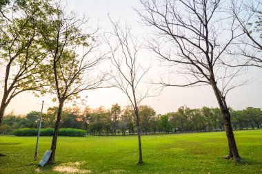 Merkezi kamu parki yeşil çim çayır ağaç Günbatımı ile