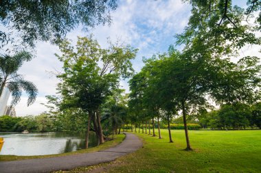 Yol ve river park güzel güneşli bir günde