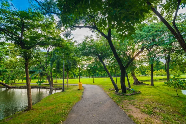 Beautiful sunny day in park with pathway and river — Stock Photo, Image