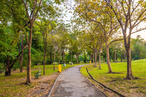Central parque público verde grama prado com árvore por do sol — Fotografia de Stock