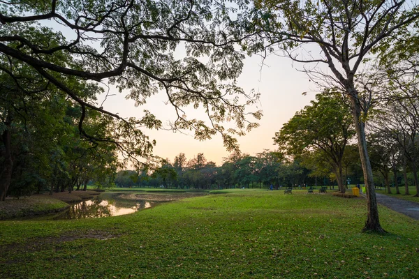 Parque Público Central Prado Hierba Verde Con Puesta Sol Árboles — Foto de Stock