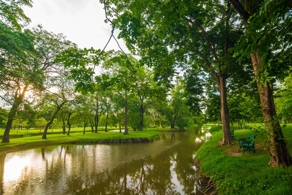 Yol ve river park güzel güneşli bir günde